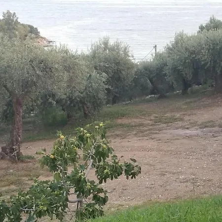 Vila Olive By The Sea Pyrgadikia Exteriér fotografie