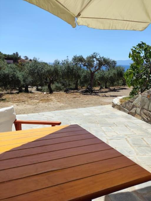 Olive By The Sea Holiday home Pyrgadikia
