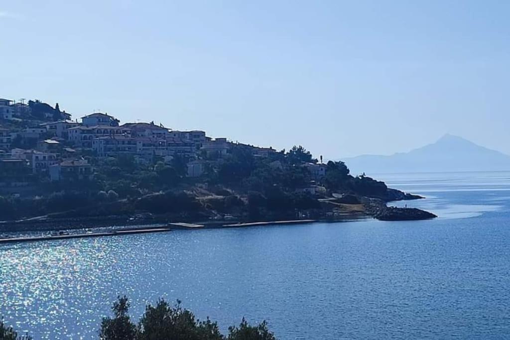 Olive By The Sea
