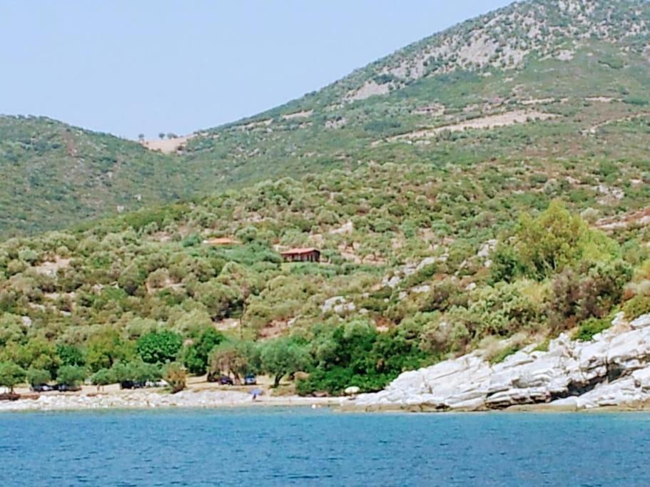 Olive By The Sea Holiday home