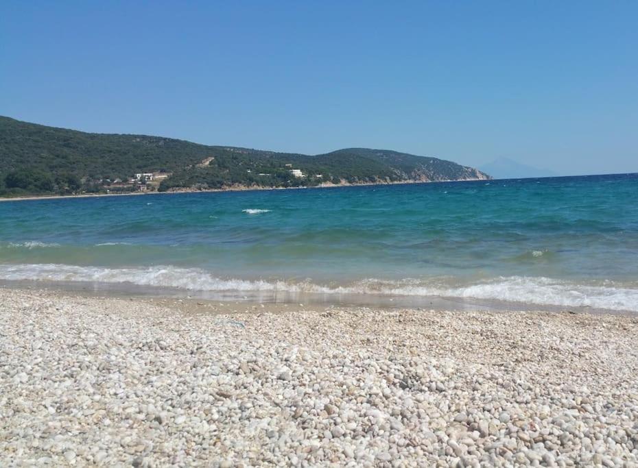 Olive By The Sea * Pyrgadikia