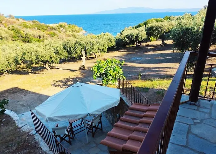 Olive By The Sea